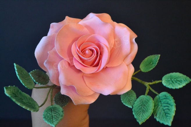 SWEET CAKE'S SWEET CAKE'S