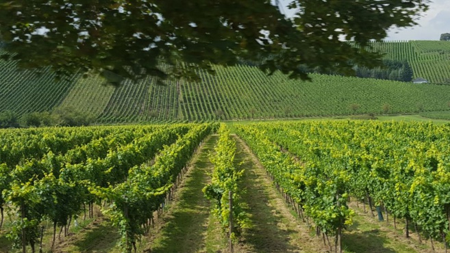 DOMAINE MATHES