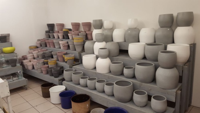 FLOWER ACTION FLOWER ACTION