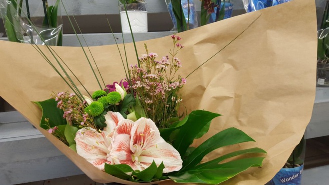 FLOWER ACTION FLOWER ACTION