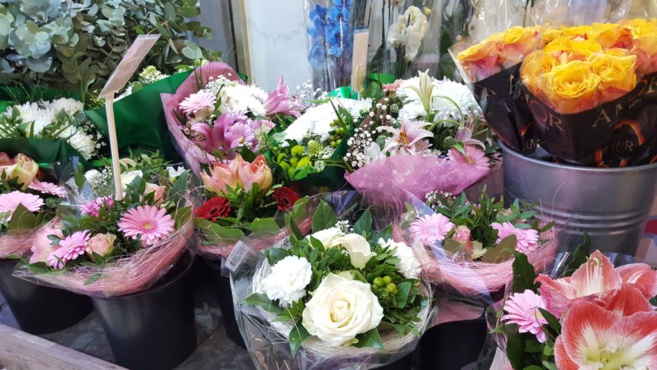 FLOWER ACTION FLOWER ACTION