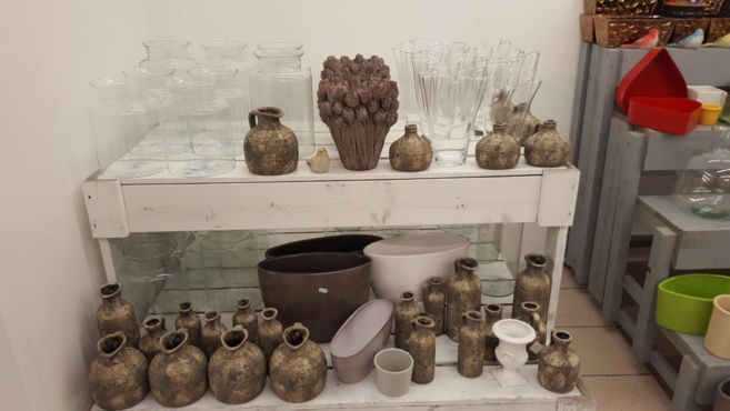 FLOWER ACTION FLOWER ACTION