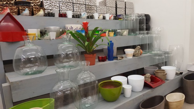 FLOWER ACTION FLOWER ACTION