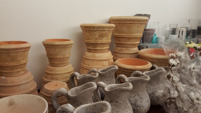 FLOWER ACTION FLOWER ACTION