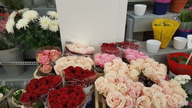 FLOWER ACTION FLOWER ACTION