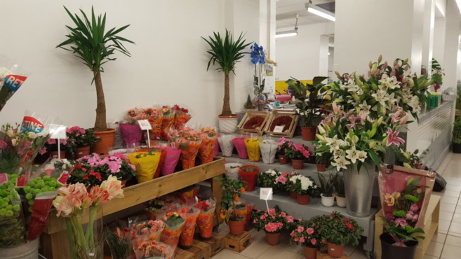 FLOWER ACTION FLOWER ACTION