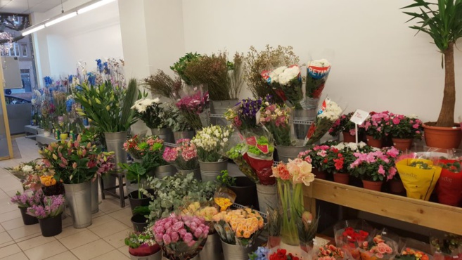 FLOWER ACTION FLOWER ACTION