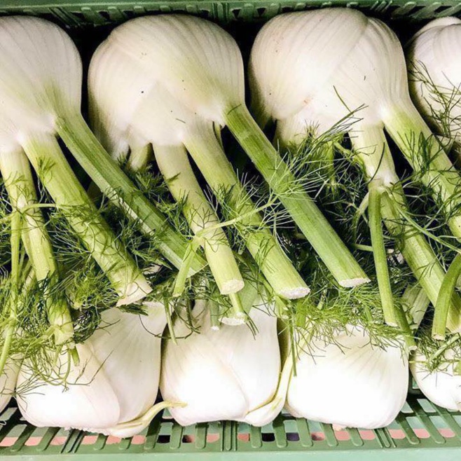 Bonta Italiana Bonta Italiana