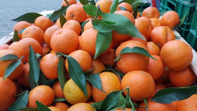 Bonta Italiana Bonta Italiana