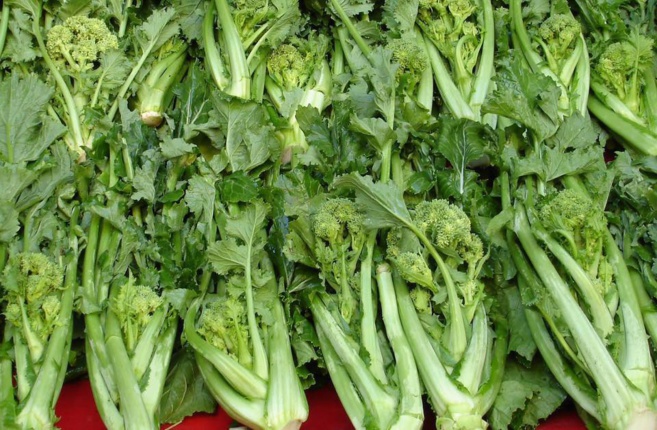 Bonta Italiana Bonta Italiana