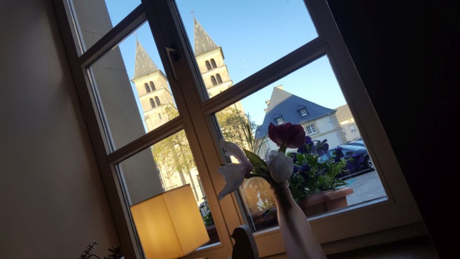 BIT BEIM DOKTER BIT BEIM DOKTER