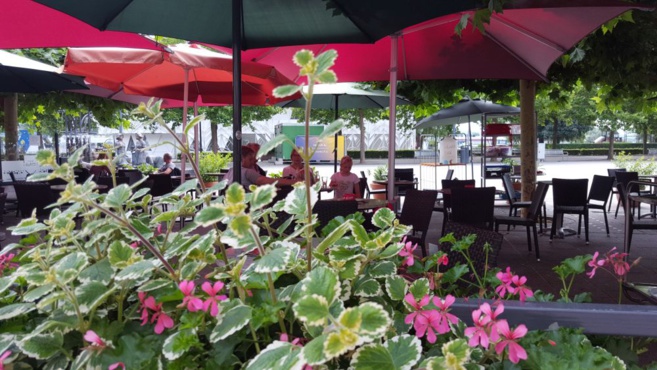 GELATERIA VALENTINO GELATERIA VALENTINO