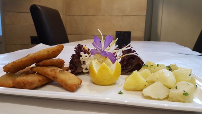 OKTAV AMADEUS OKTAV AMADEUS