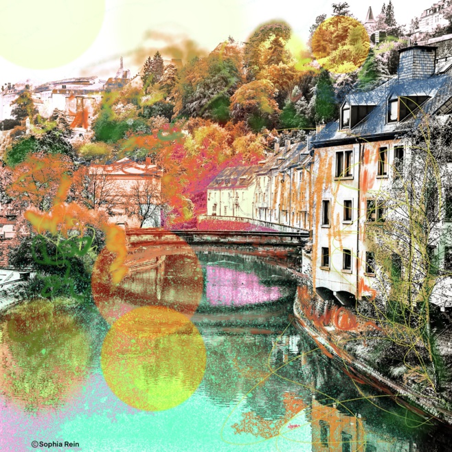 Artiste Photographe Sophia REIN Artiste Photographe Sophia REIN