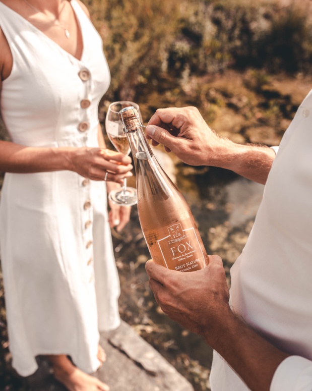 FOX DRINKS FOX DRINKS