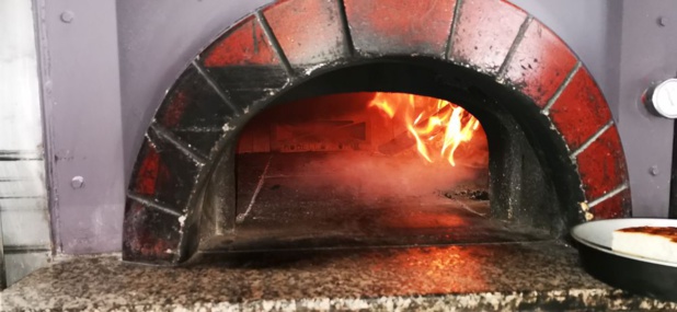 LA CELULA