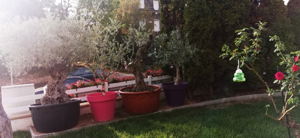 CHEZ FLORENTIN CHEZ FLORENTIN