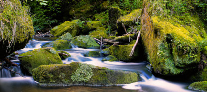 Mullerthal Mullerthal