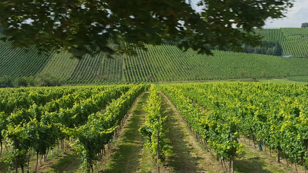 DOMAINE MATHES