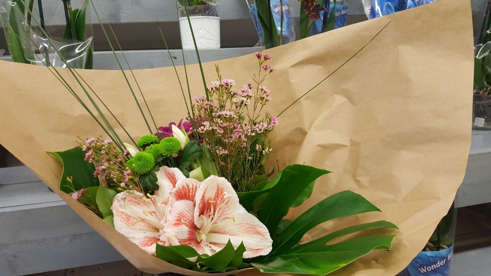 FLOWER ACTION