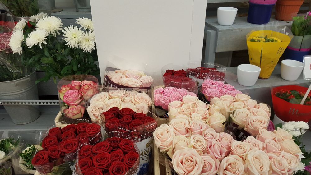 FLOWER ACTION