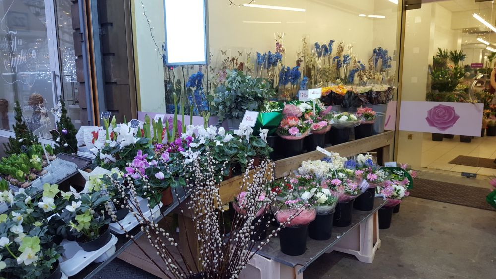 FLOWER ACTION