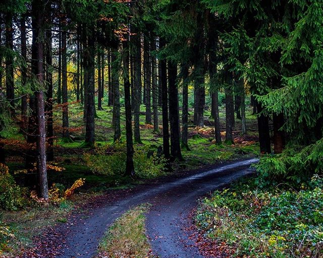 Eisleck : Le Nord Eisleck : Le Nord