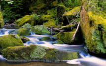 Mullerthal