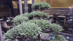 autrepart_restaurant_bar 001