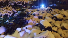 autrepart_restaurant_bar 048 autrepart_restaurant_bar 048